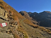 Ottobrata sul Corno Stella (2620 m) in solitaria-27ott21  - FOTOGALLERY